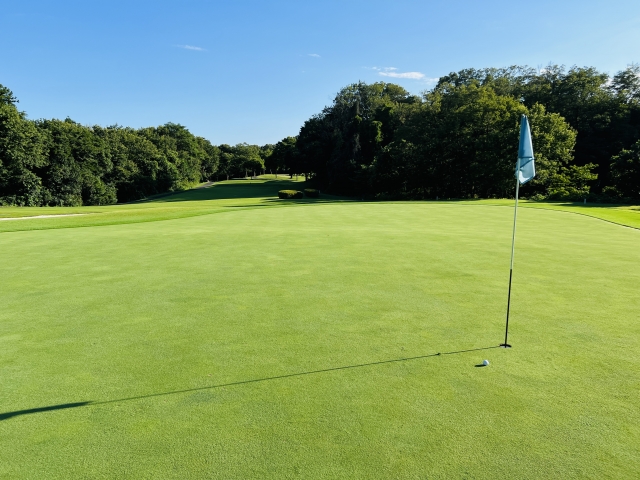 美しく整えられたゴルフコースのグリーン